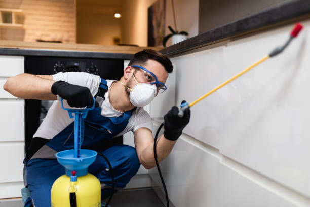 Best Affordable Pest Control Services  in Richwood, LA