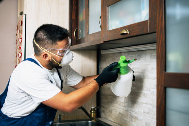 Pest Control for Restaurants in Richwood, LA