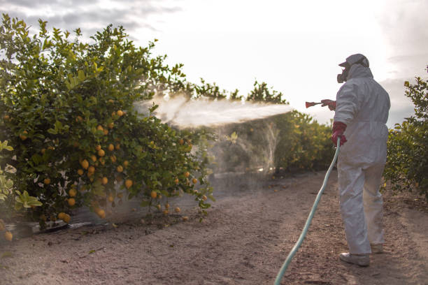 Best Pest Removal Services  in Richwood, LA
